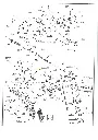 210519 210520 210528 210529 210590 - Exploded view -  Taurus 24_7 G2 .webp